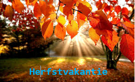 Herfstvakantie: aangepaste openingstijden!